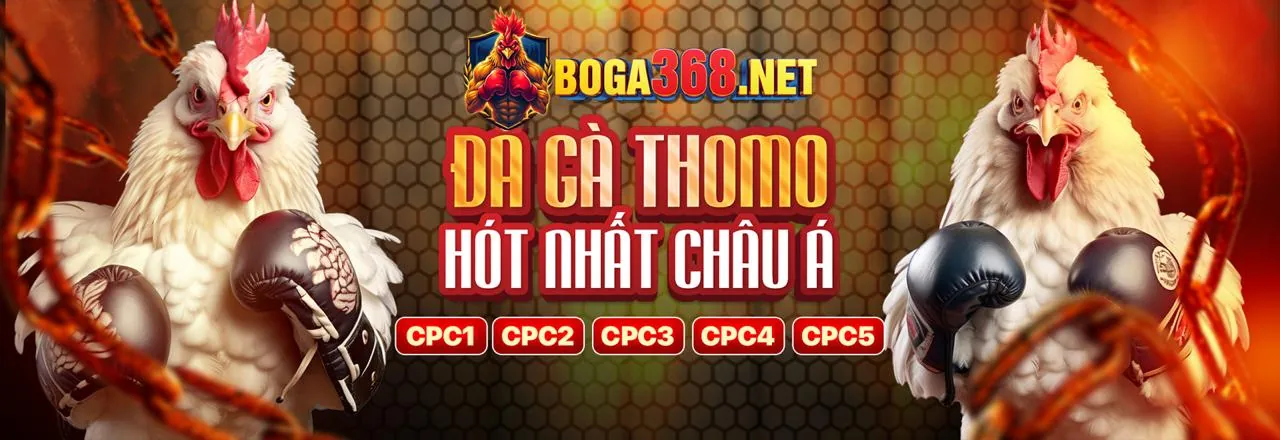 Tin tức sumclub chính thức mới nhất