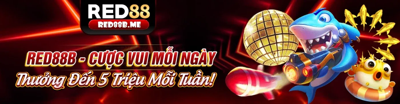 Tin Tức Mới Nhất từ sumclub chính thức